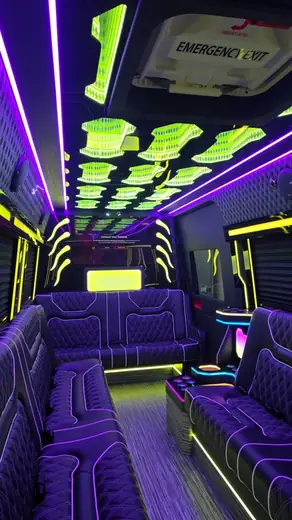 Limo Sprinter photo 7 of 15, SprinterVansRental.com